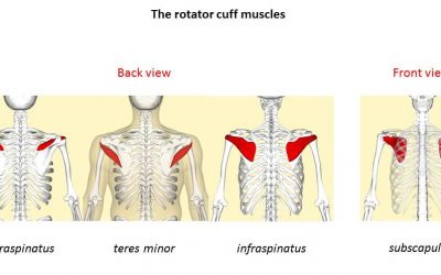 Rotator Cuff Non Surgical Options