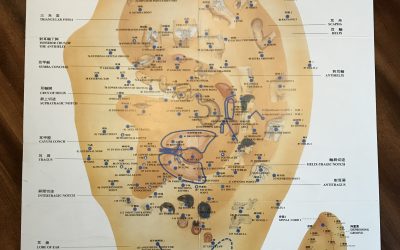 Acupuncture for Weight Loss